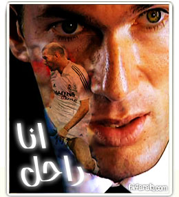 bay zidane